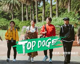 吃瓜黑料《TOP DOG》免费在线观看