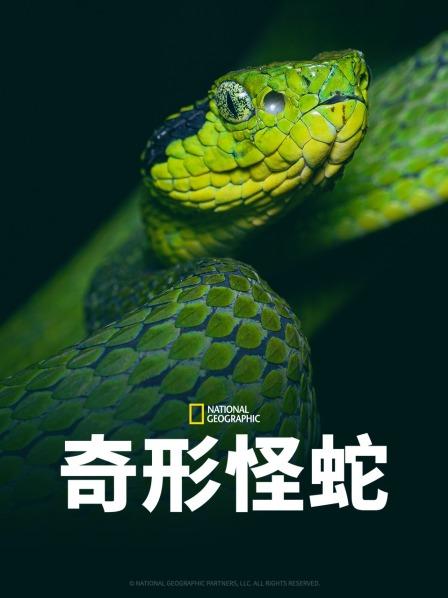 吃瓜黑料网《奇形怪蛇》免费在线观看